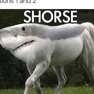 Meet your Posher, Jayna